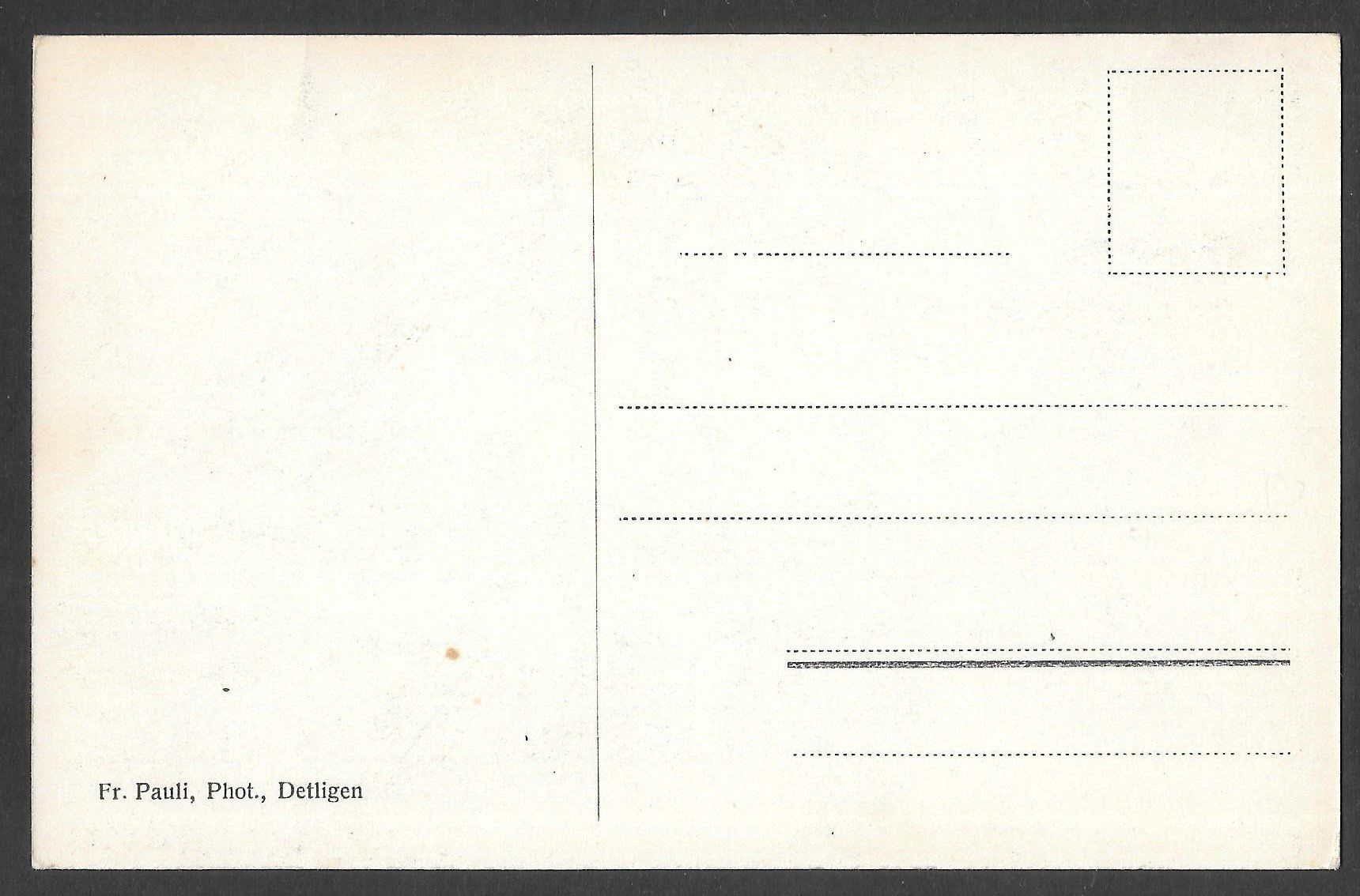 Cartes postales: Frieswil Trümlen-Bad – D'occasion à Olten par clotaldi 1