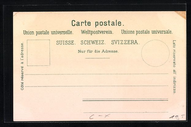 Cartoline postali: Litho Nesslau, Ortsansicht m. Buchdrucke – Usato da Berlin venduto da bartko-reher 1