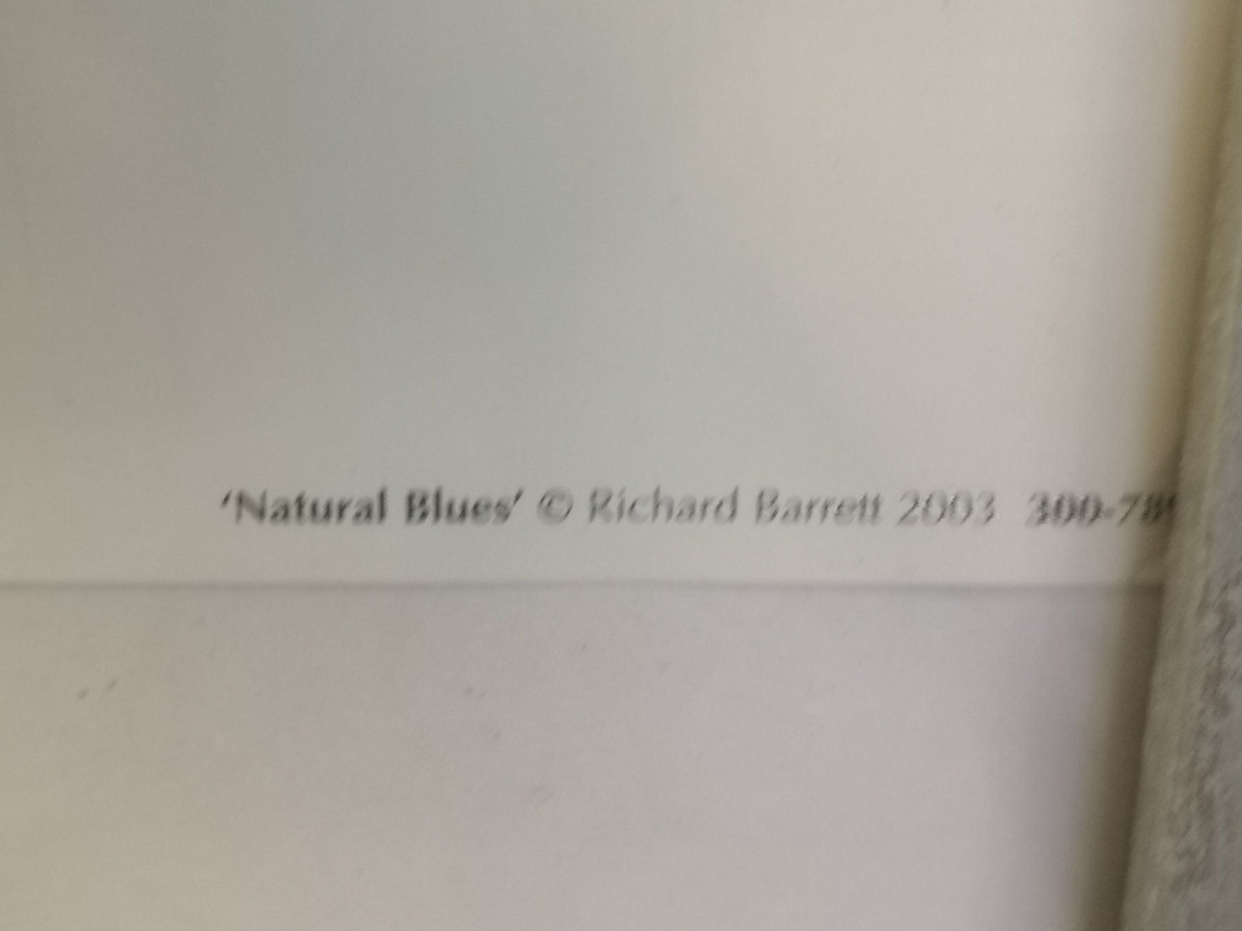 Tableaux: RICHARD BARRETT POSTER SIGNE DATÉ 2003 – D'occasion à Genève par Qanil88 3