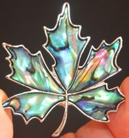 Anhänger oder Brosche L-5499 – Abalone Ahornblatt 4,5x4,5cm