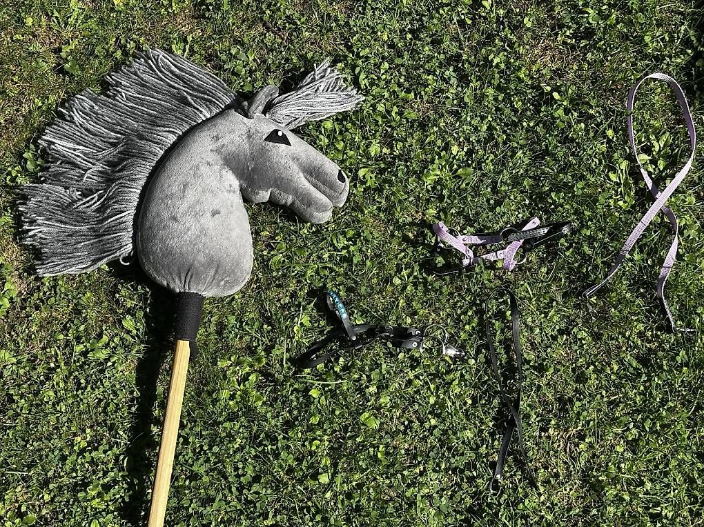 Giocattoli: Hobbyhorse  – Usato da Zürich venduto da marangun01 2