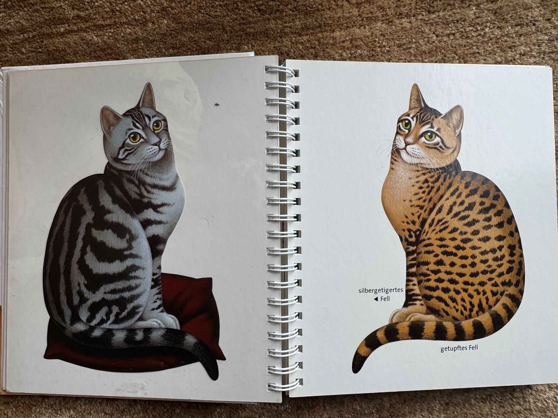 Libri: Meyers - Die Katze – Usato da Aarau venduto da Kilauea 2