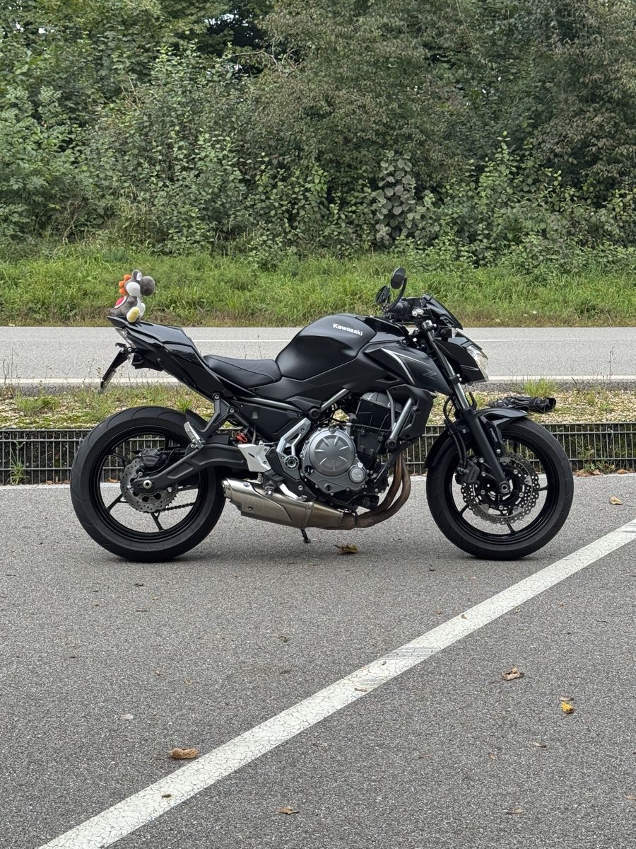 Kawasaki Strada: Kawasaki z650 ABS/35kw – Usato da Full- Reuenthal venduto da col_wwj2