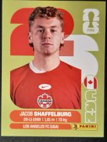 Panini 2026 CAN14