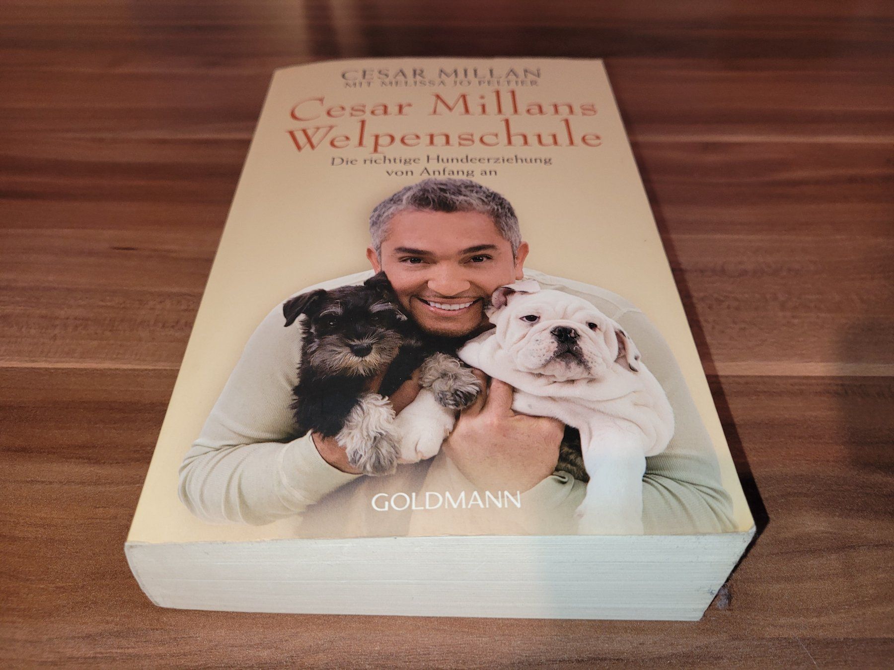 Libri: Cesar Millans Welpenschule – Usato da Beinwil (Freiamt) venduto da Tourigny 1
