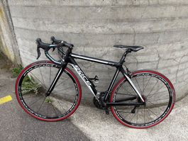 Price Pro Rennvelo – Carbon, Shimano Ultegra, Fulcrum Wheels