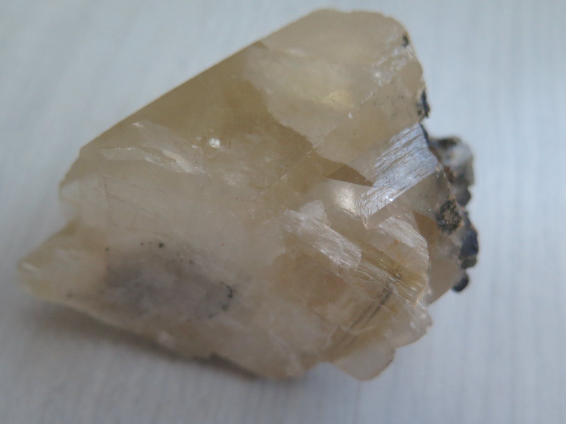 Minerali & Pietre curative: Kanonenspat Calcit von USA – Usato da Schaffhausen venduto da Yamakana51L8736OQ8 4