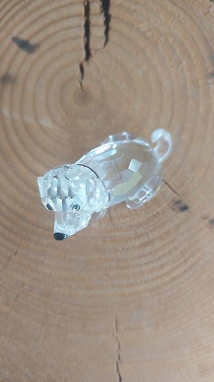 Swarovski Figuren: Swarovski Kristallfiguren Hund – Gebraucht aus Altendorf von dasu2 1