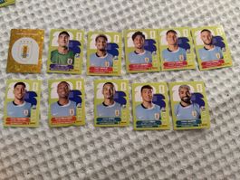 WM Panini Sticker Uruguay 2026