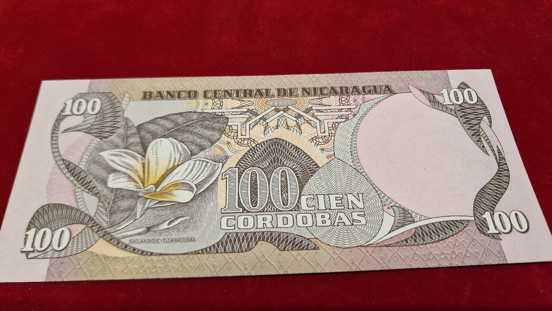 Banconote: Nicaragua 100 Cordobas Banknote - – Nuovo e nell'imballaggio originale da Herisau venduto da MoneyisPower.AR 1