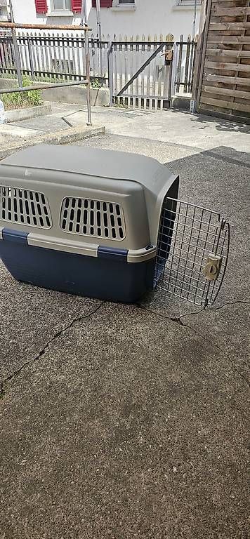: Hunde Transportbox  – D'occasion à Neuhausen par Blasco30 3