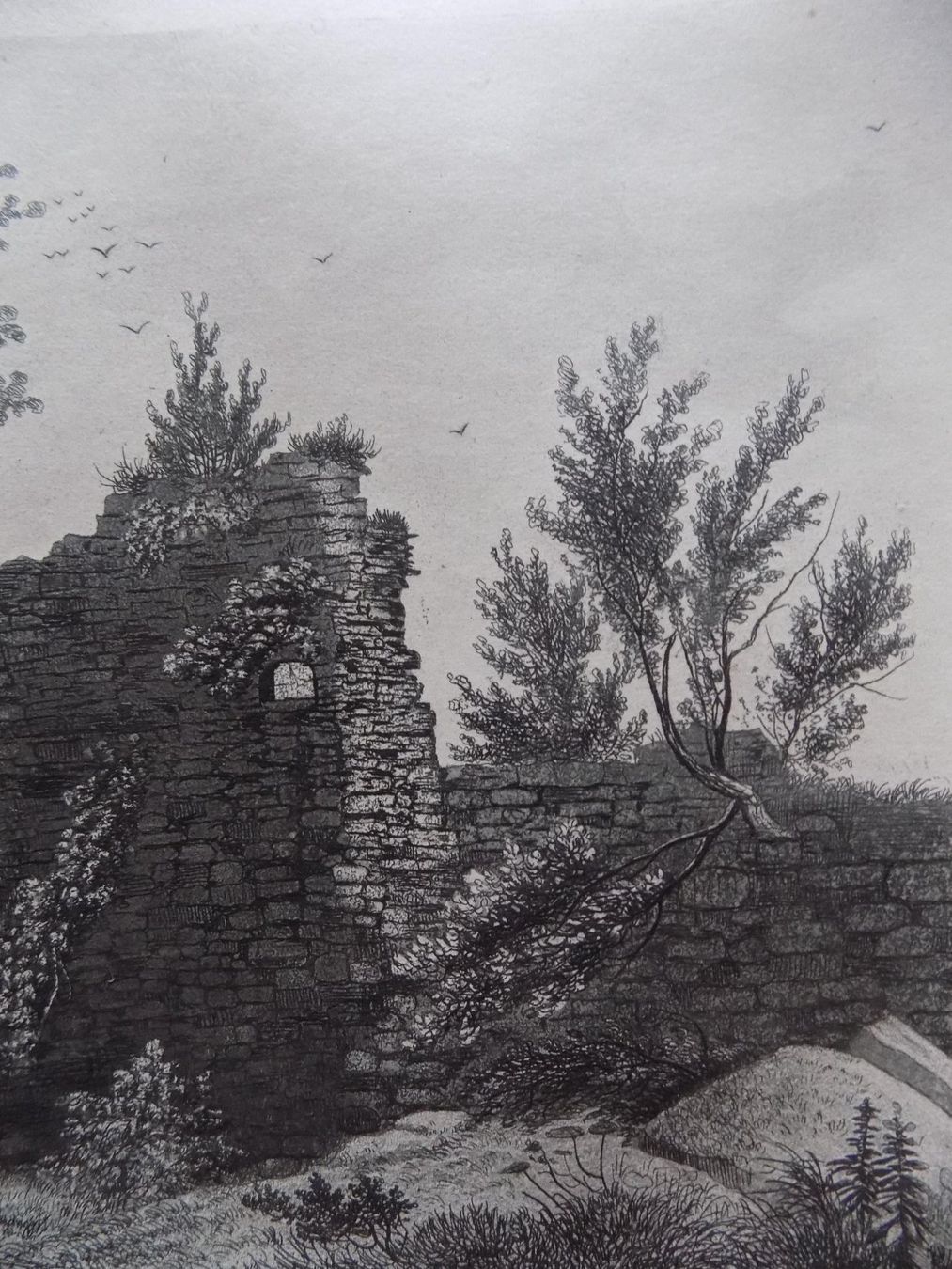 Incisioni: Ruine Rotzberg Ennetmoos – Usato da Risch venduto da Rischli15 6