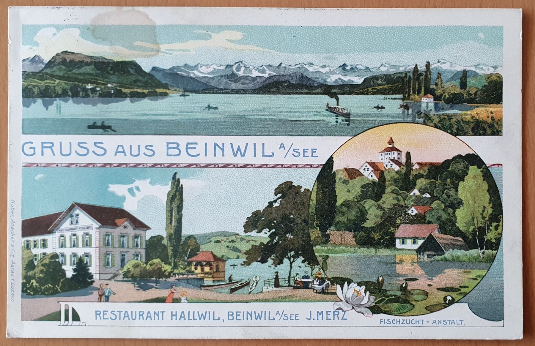 Cartoline postali: Beinwil am See 1913 – Usato da Kreuzlingen venduto da Rschweiz1