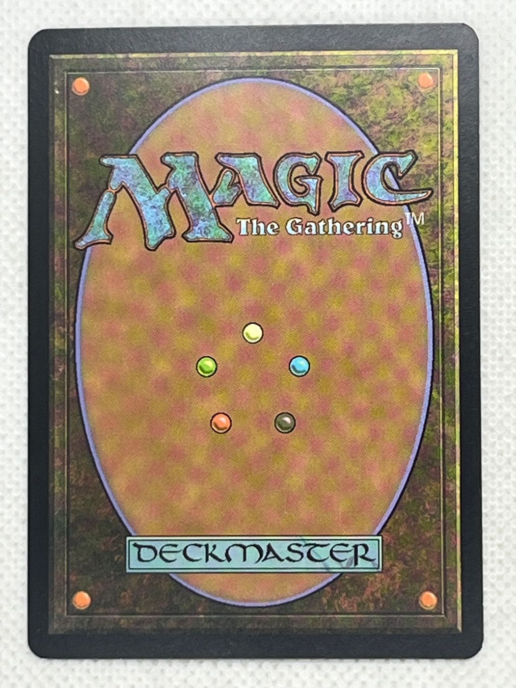 Magic The Gathering Carte collezionabili: MTG Elvish Hexhunter SHM 226 Englisch Common – Usato da Hinterkappelen venduto da Kim1992 1