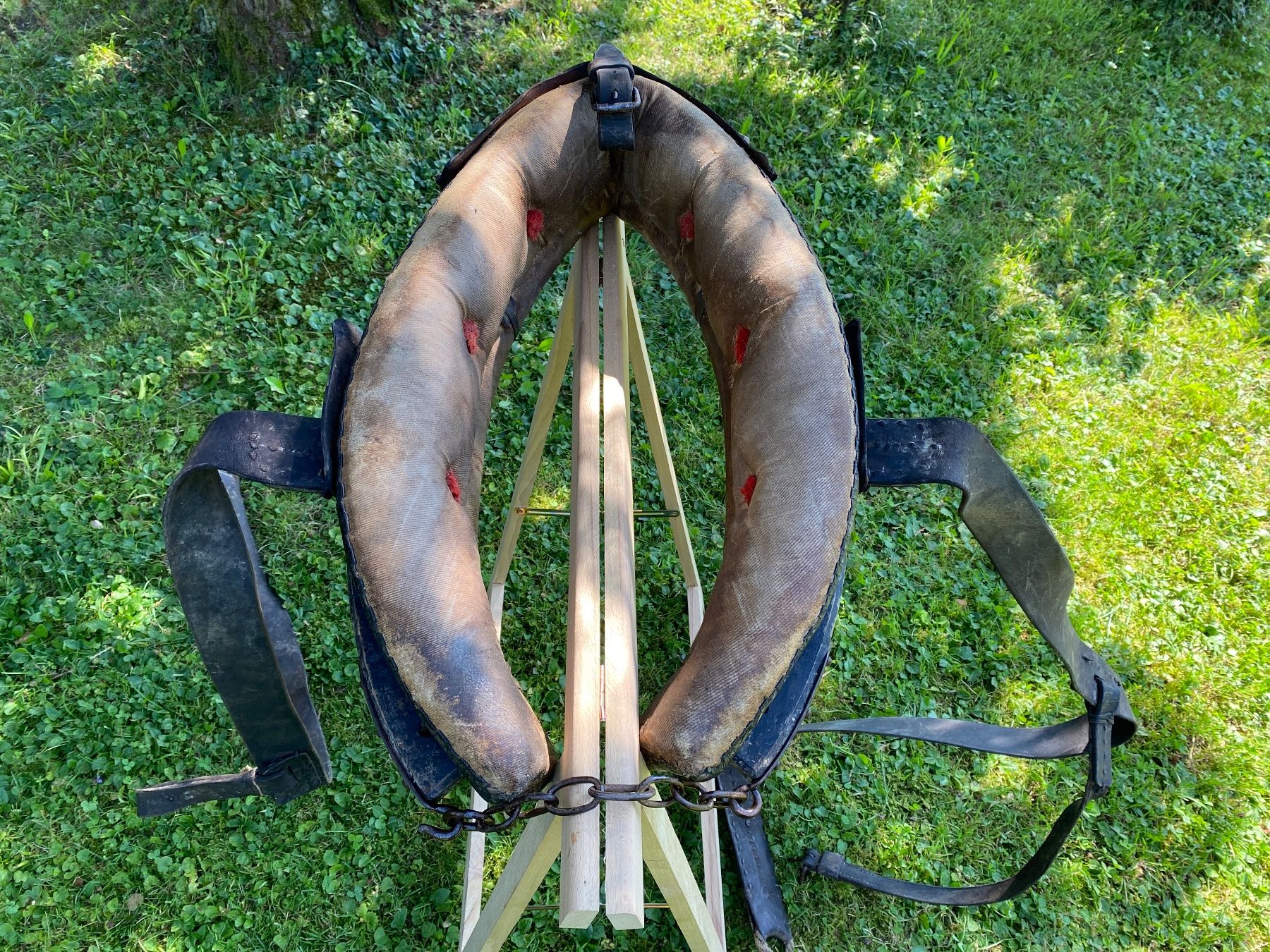 Campanacci mucche: alter original Kuhkummet – Usato da Feldbach venduto da Olive1 7