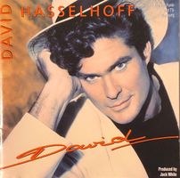 David Hasselhoff - David