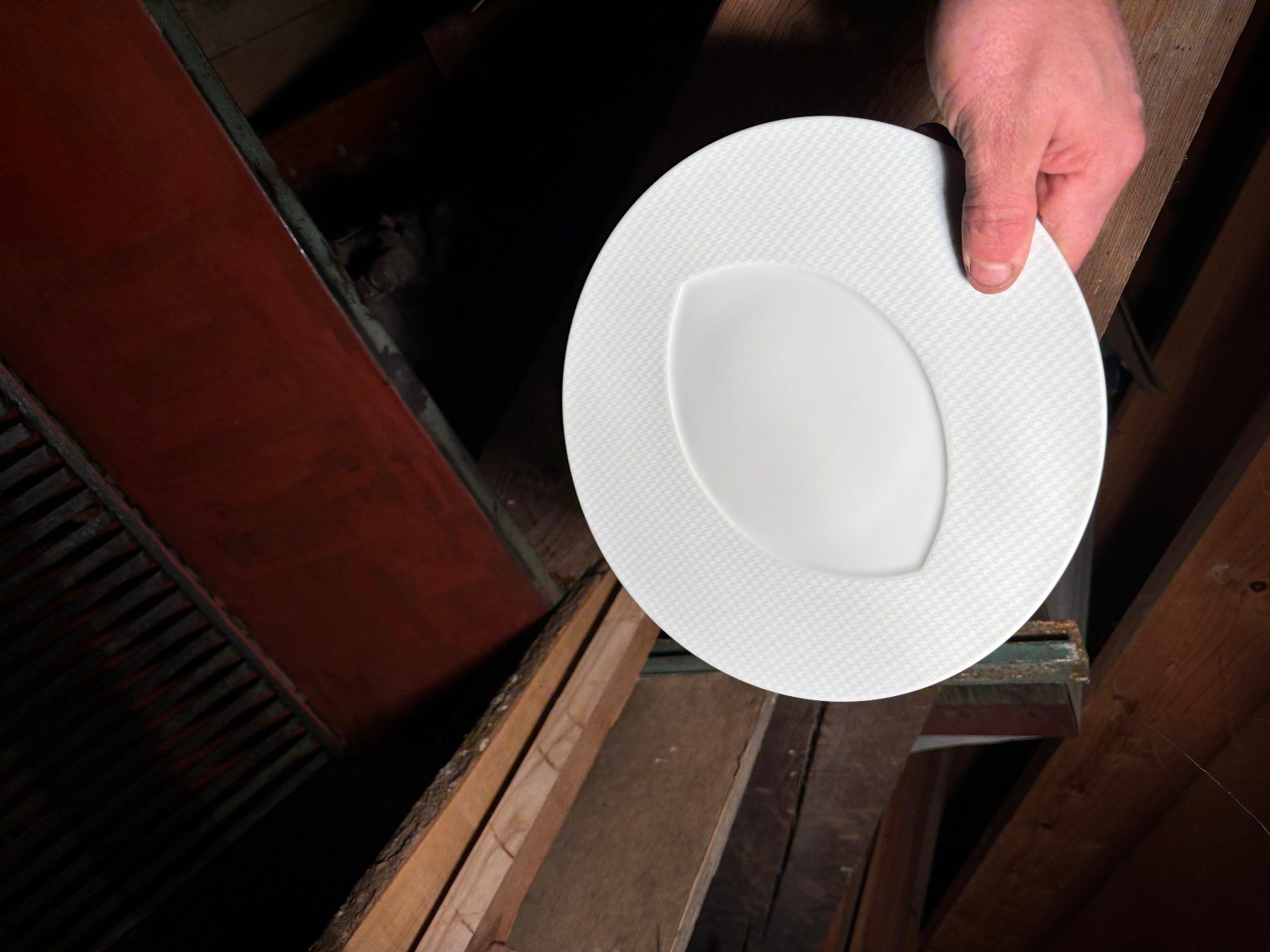 Thomas Piatti: Assiettes Raynaud de limoges – Usato da L'Isle venduto da Outils 1