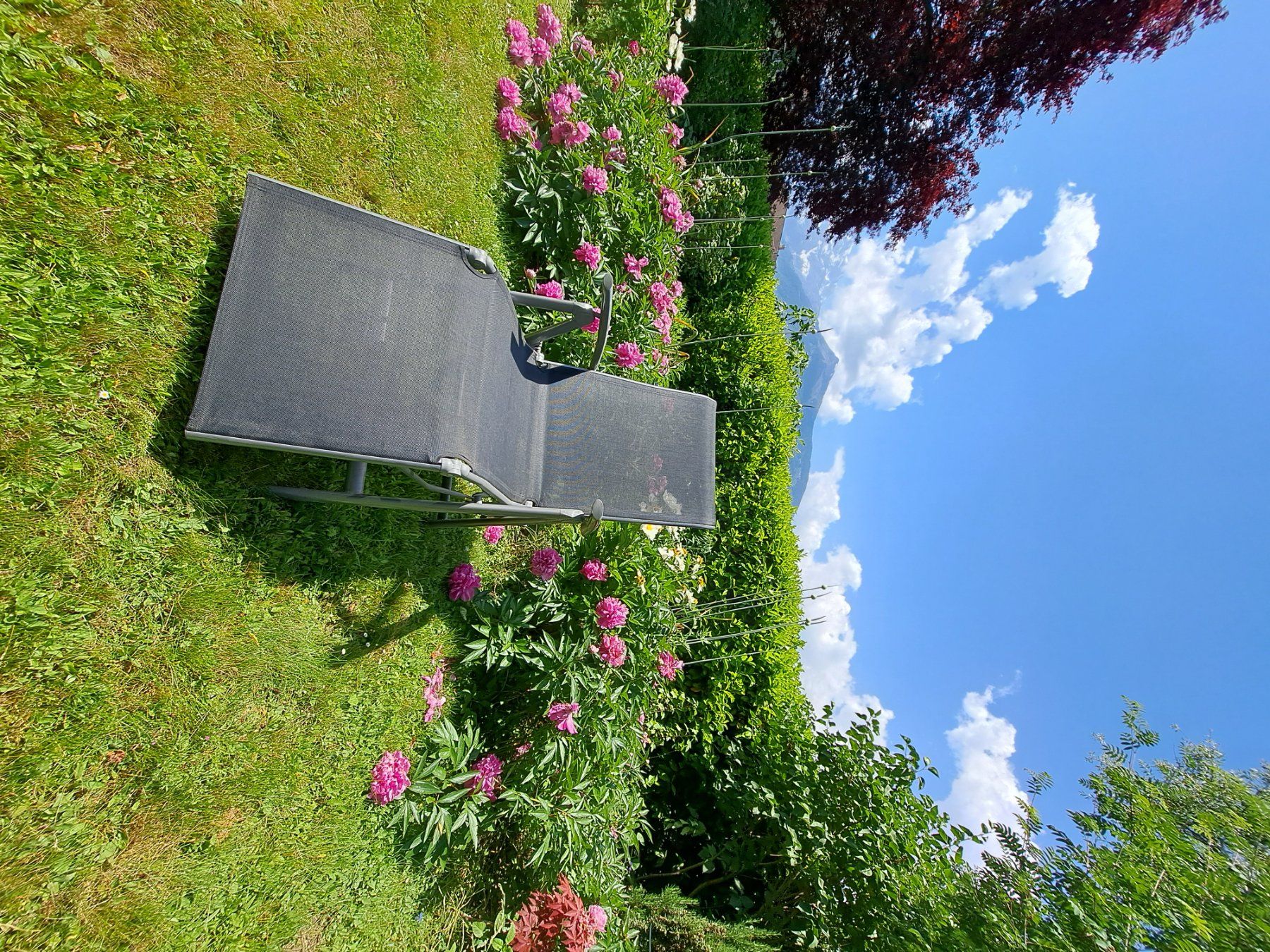 Sedie: 2 chaises  de jardin pliables gris, – Nuovo (secondo la descrizione) da Bex venduto da Dani-Dany 1