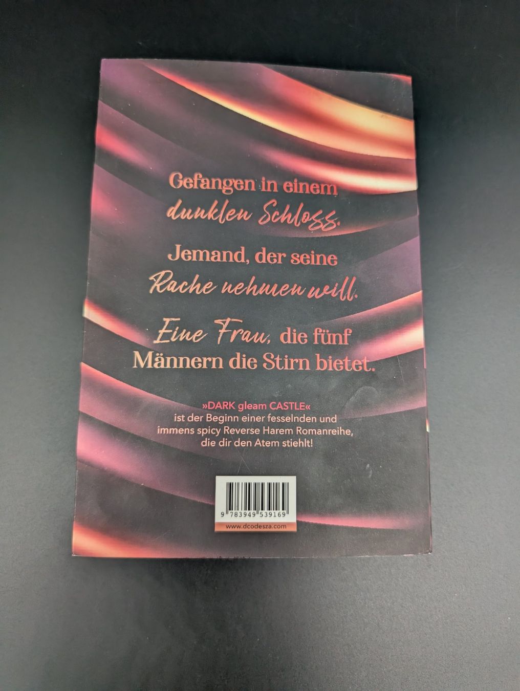 Libri: D.C. Odesza: Dark Gleam Castle – Usato da Wiezikon b.Sirnach venduto da CaRo_Second 2