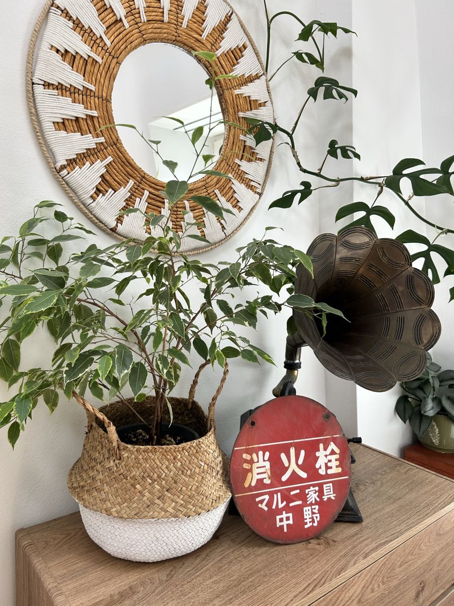 Insegne: Antikes Blechschild original aus Japan – Usato da Basel venduto da Tshabajuju 3