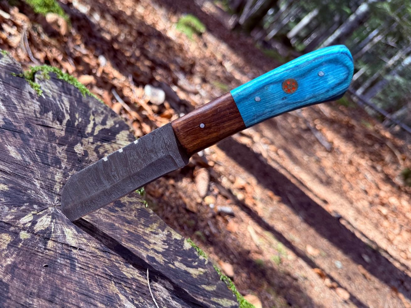 Accessoires: Damast Bushcraft Messer Sheepfoot Blade – Neuf avec emballage d'origine à Luzern par asciva