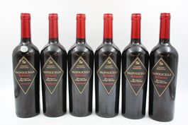 6x Casato Mastino Ripasso della Valpolicella (26072966Z)