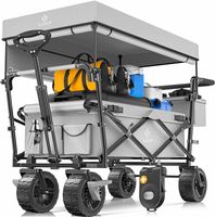 KESSER GT9000 Bollerwagen faltbar