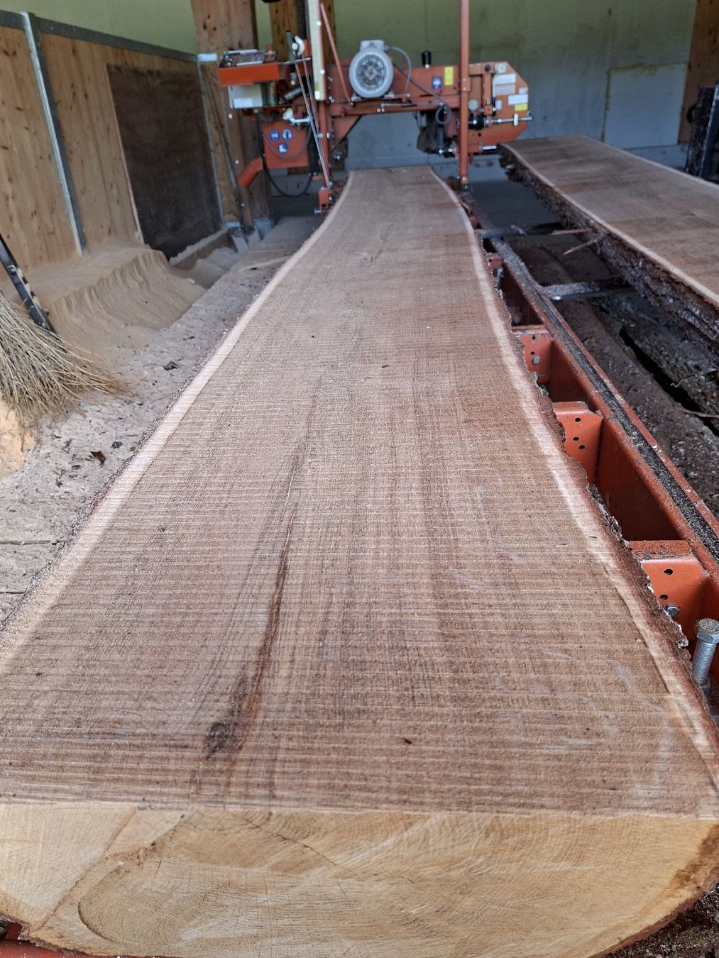 Articoli in legno: Eichenbretter 60mm – Nuovo (secondo la descrizione) da Büren SO venduto da baschi87 2