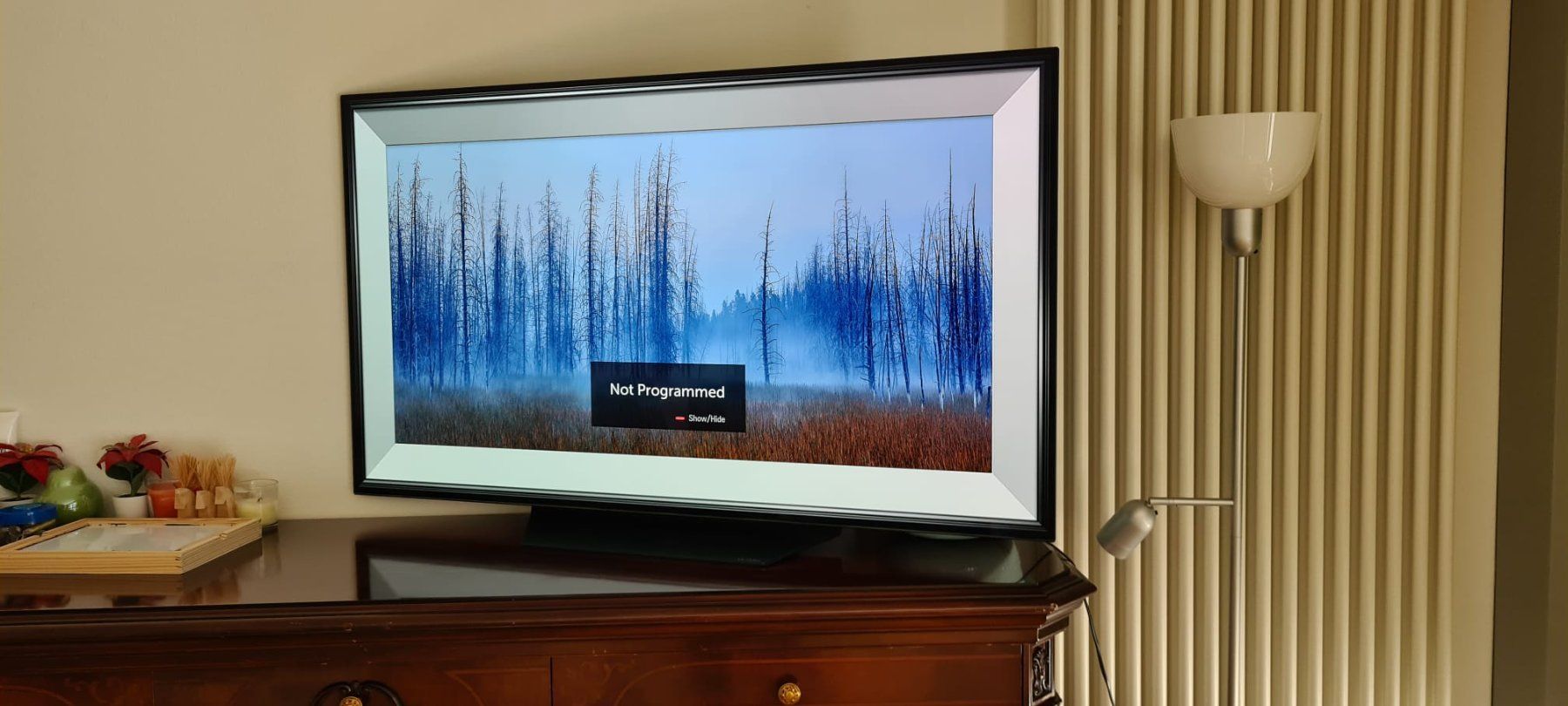 LG Televisori: LG B9 OLED TV 55" – Usato da Aarau venduto da oksana90 4