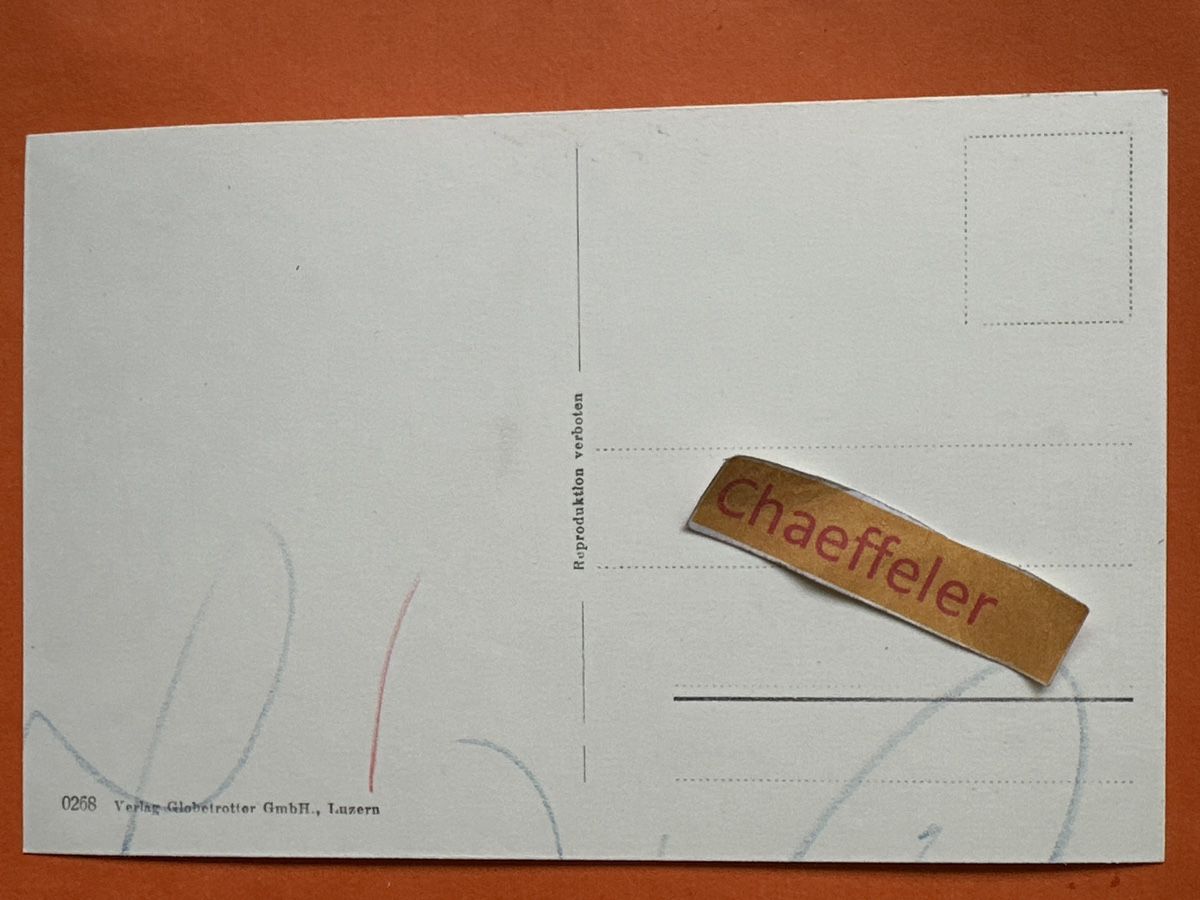 Cartoline postali: Immensee mit Rigi – Usato da Zürich venduto da Chaeffeler 1