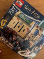 Harry Potter Lego 76387 Begegnung mit Fluffy