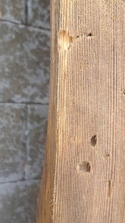 Set de table et chaises: Holzecktisch-Bankgarnitur rustikal – D'occasion à Häuslenen par Huberforst 4