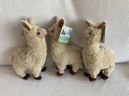Lama & Los Coop Sammelspass