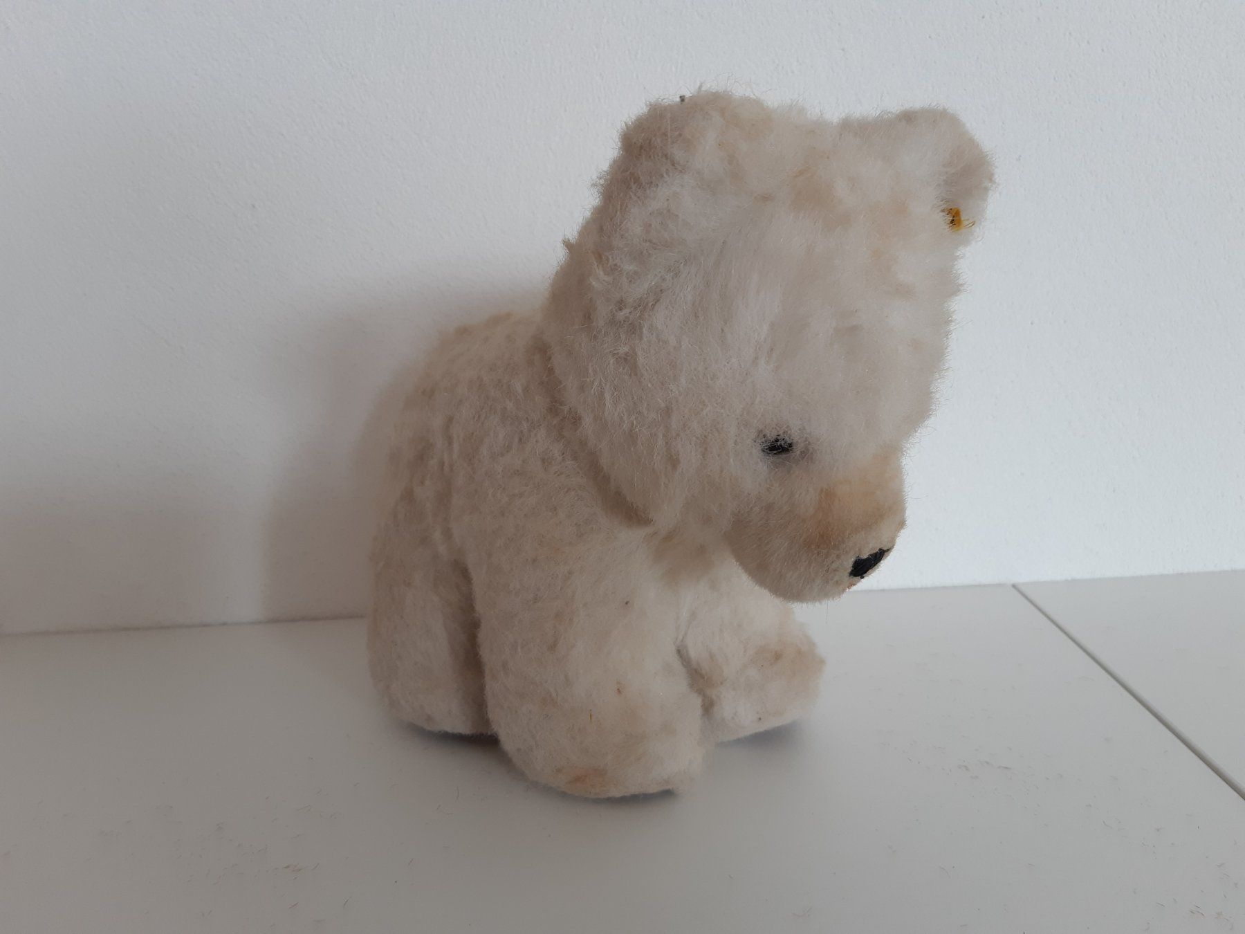 Steiff Giocattoli: Steiff Eisbär Alt – Usato da Aadorf venduto da Merlin111