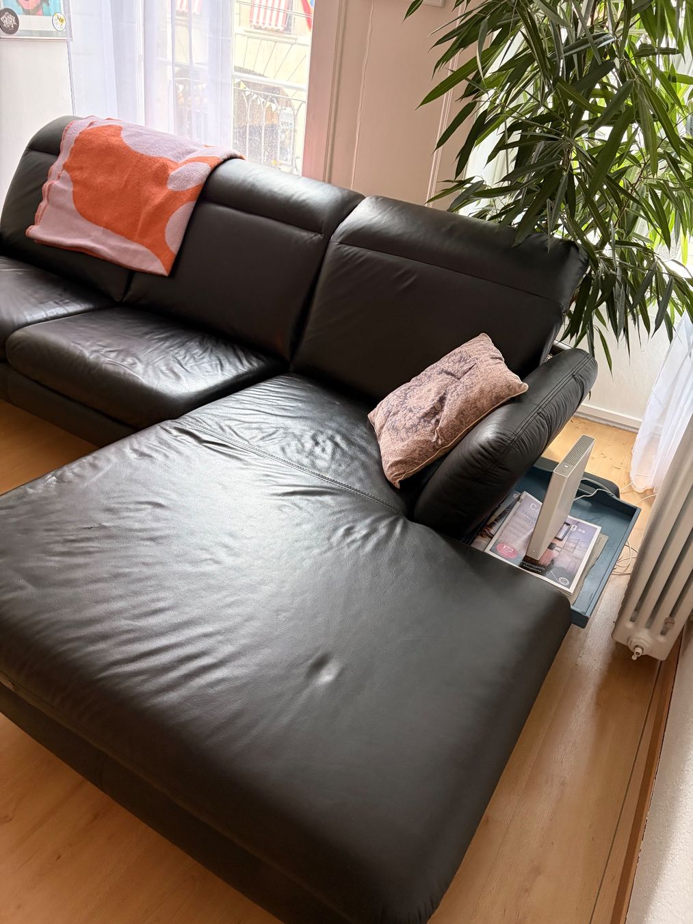 Pfister Sofas: Ecksofa Pfister Leder Schwarz – D'occasion à Bern par mic_7clt 1
