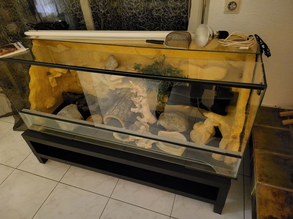 Terrarium Wüste warm für z.B. Bartagame 1.5m x 0,5m x 0,6m Kaufen auf