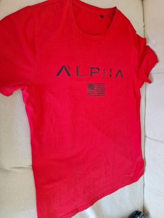 2 Marken T-Shirts"GUESS/ALPHA *XS & S*