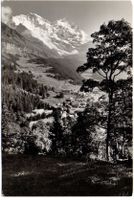 WENGEN mit Jungfrau