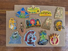 Pin Sammlung Fasnacht Schaffhausen Pins Retro Badge Sammler