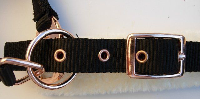Briglie & Cavezze: Stallhalfter von Showmaster für Warmblut – Nuovo (secondo la descrizione) da Dübendorf venduto da rumpumpel 3