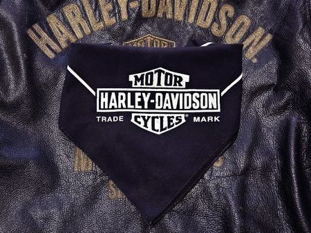 Bandana Harley-Davidson Spirit of Eagle Annecy 56x56