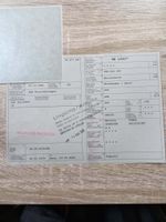 Motorboot Nussbaumer/Sport mit Mercury Motor 4.4PS