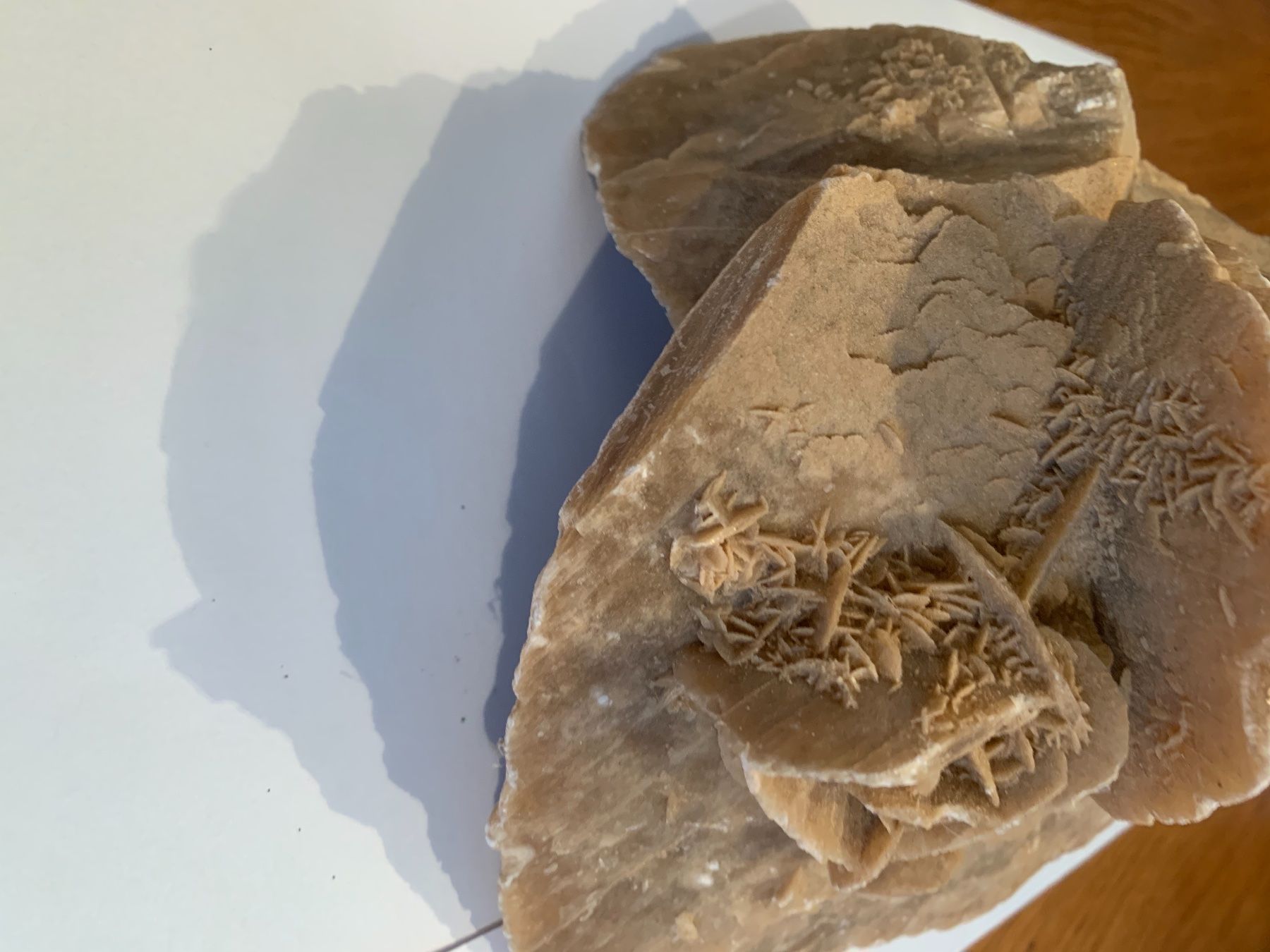 Pietre & tegole: Sandrosen aus der Sahara – Nuovo e nell'imballaggio originale da Suhr venduto da Maxmusic2308 1