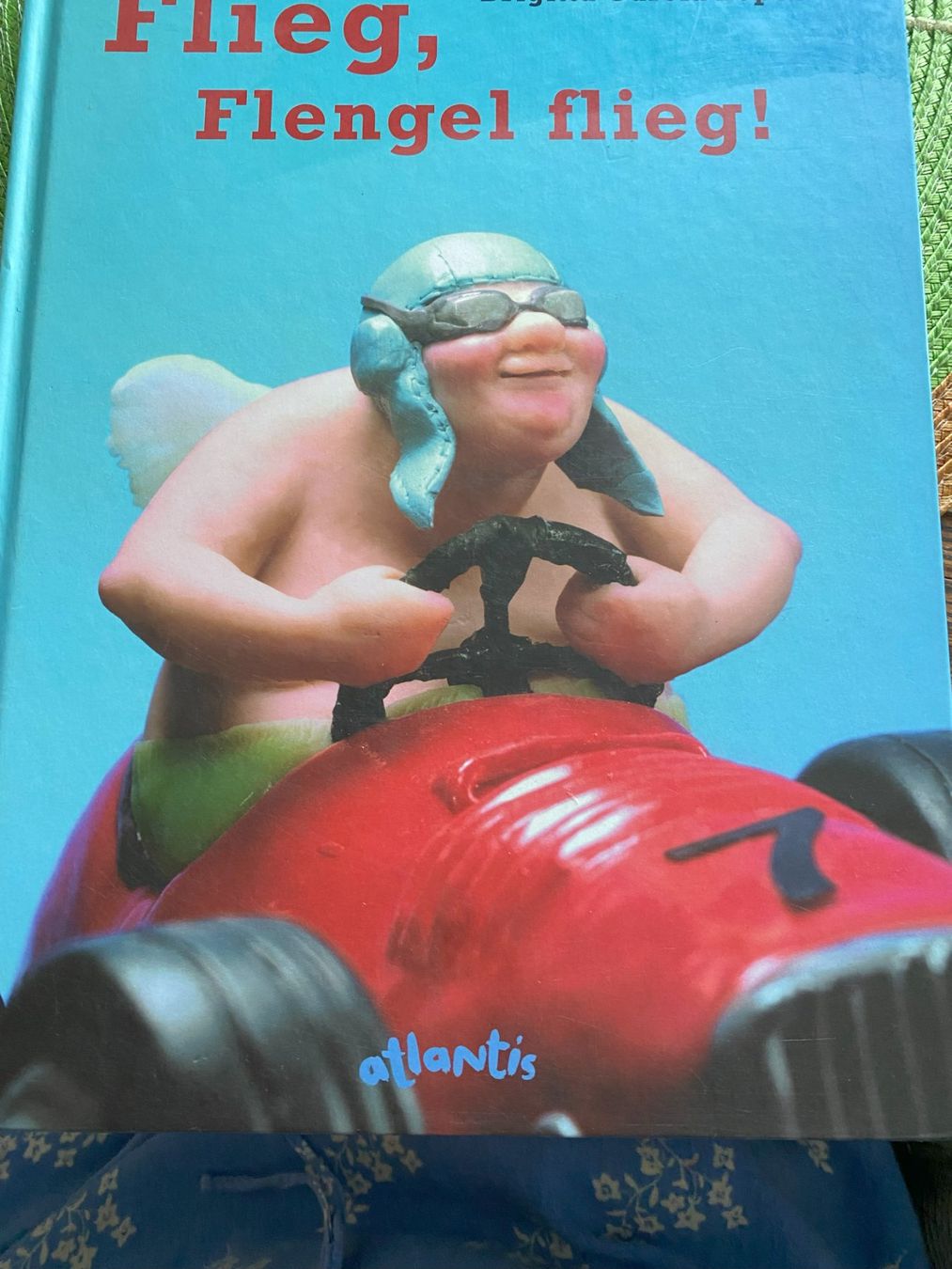 Libri: Flieg, Flegel flieg! – Nuovo (secondo la descrizione) da Sachseln venduto da basti1950