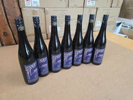 7 Flaschen Iselisberger Zehntewy Blauburgunder 2013 ab 1.-