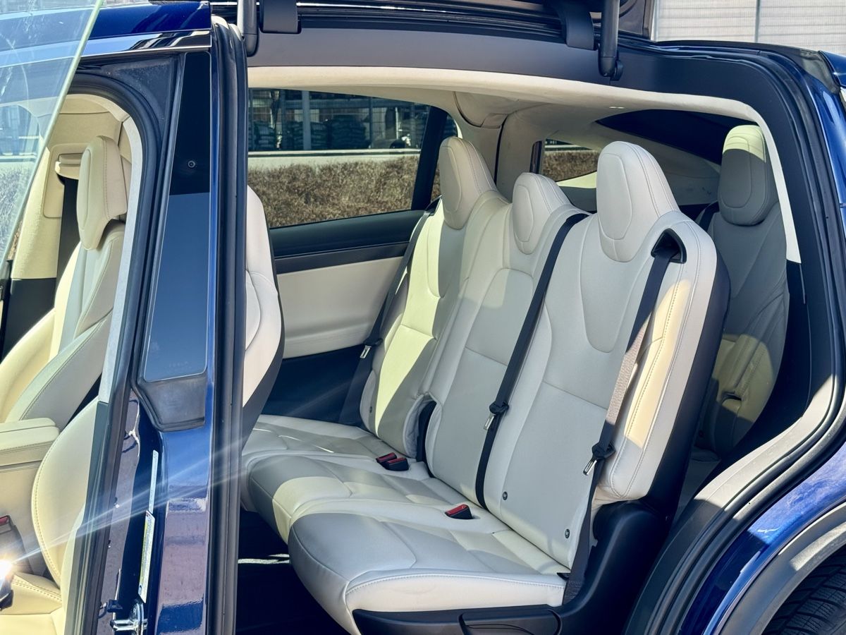 Tesla Automobili: Tesla Model X 100 D 7 Plätzer sehr selten – Usato da Nebikon venduto da kau_2bfl 5