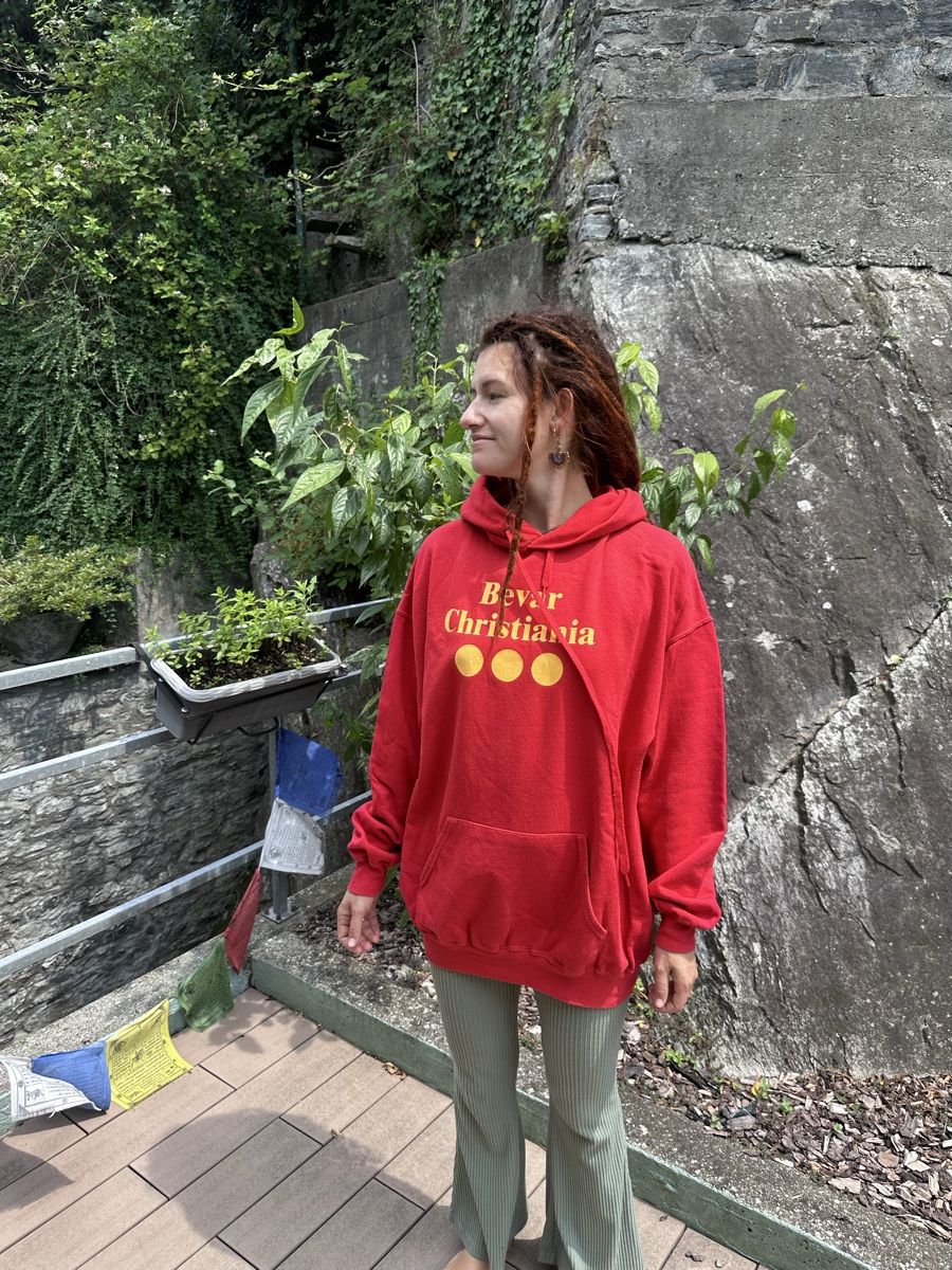 Maglioni & Felpe: Christania sweater  – Usato da Bellinzona venduto da Samirablank