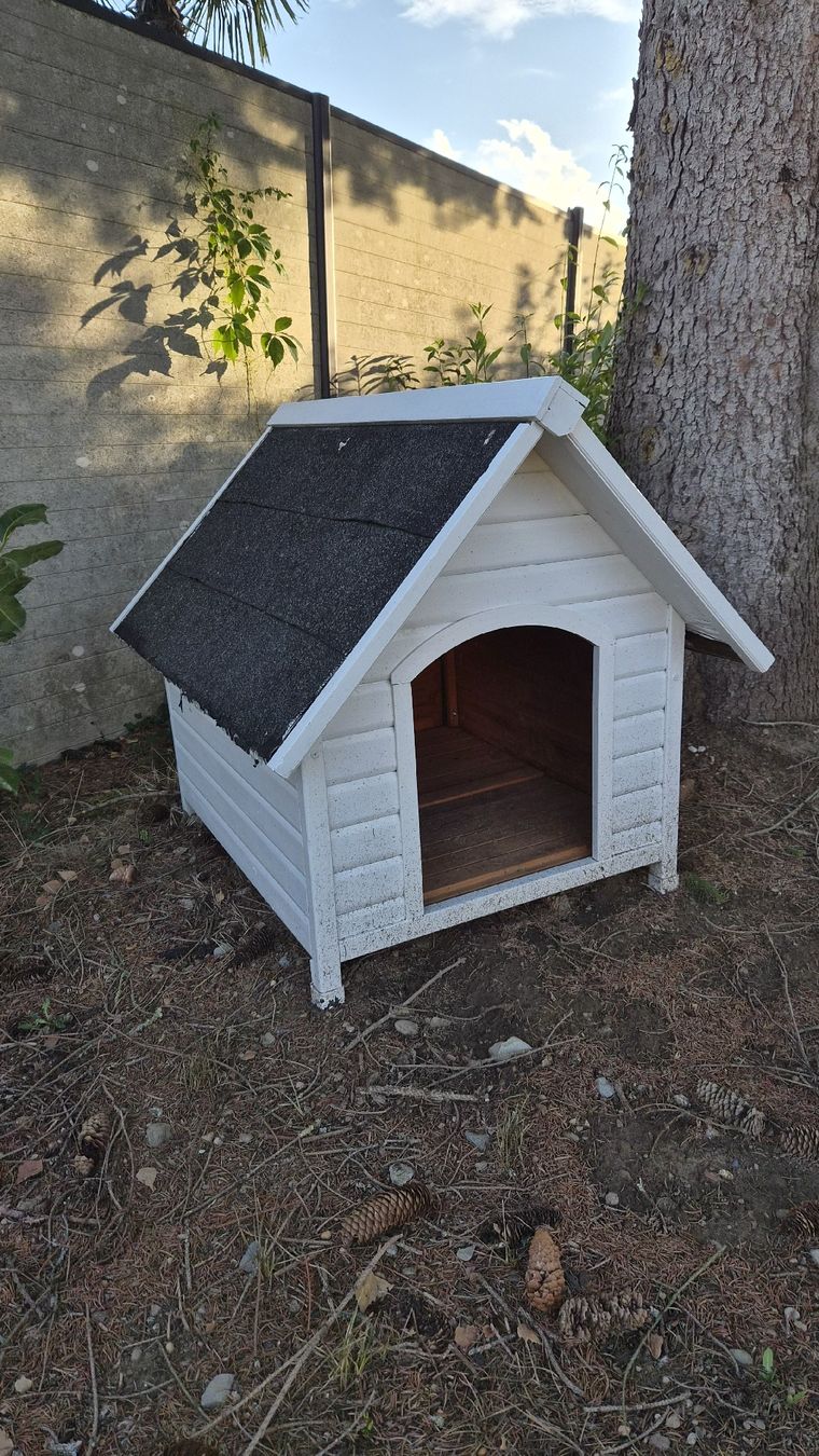Liege- & Schlafplätze: Hundehütte – Gebraucht aus Walliswil von nasommer