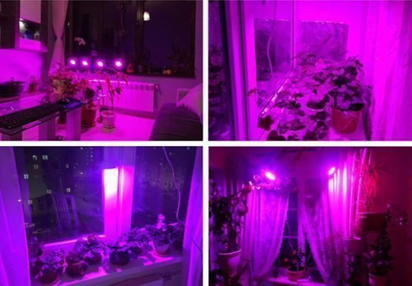 Piante & sementi: Pflanzen Gemüse Wachsen Lichter 200 Led – Nuovo e nell'imballaggio originale da Unterägeri venduto da RmOnline 7