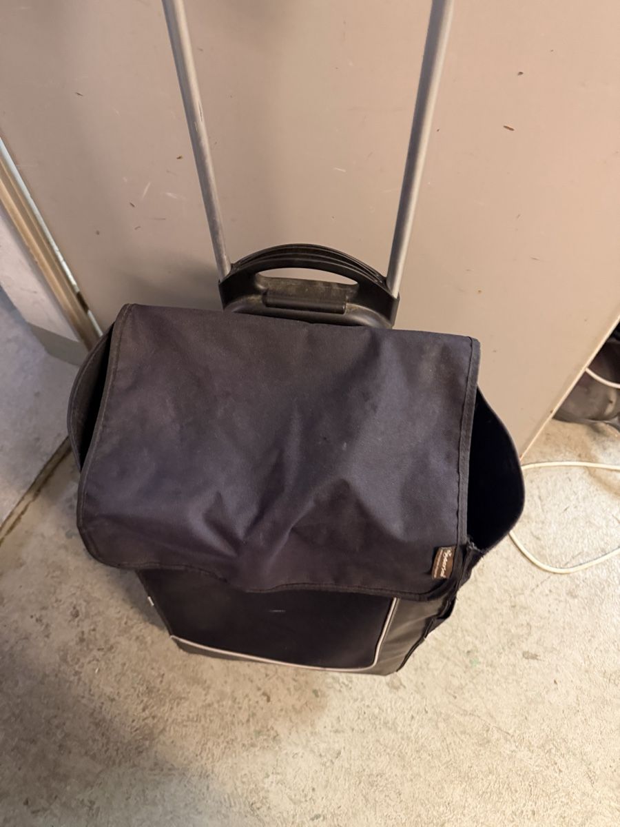 Altro per la casa: einkaufstrolly Nr 126 – Usato da Effretikon venduto da Effi0111 1